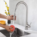 Sleek Pull-Out Kitchen Faucet